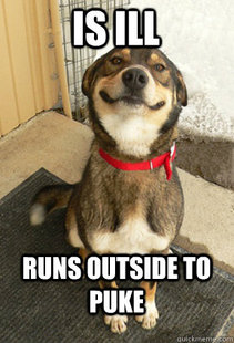Good Dog Greg