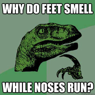 Philosoraptor