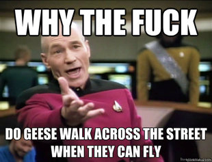Annoyed Picard HD