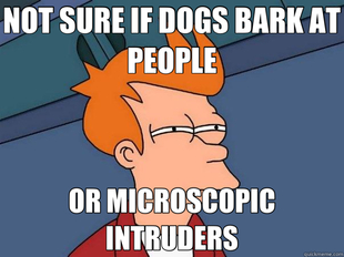 Futurama Fry