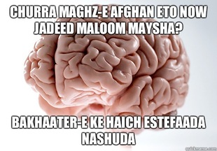 Scumbag Brain