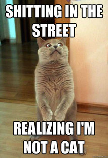 Horrorcat