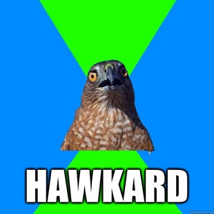 Hawkward