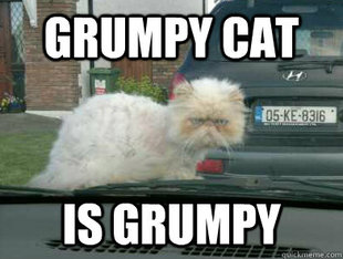 Grumpy cat