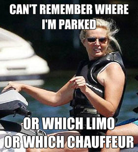 Ann Romney Problems