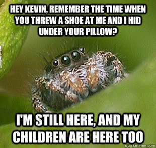Misunderstood Spider