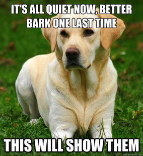 Dog Logic