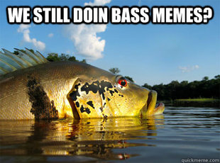 over-confident Bass