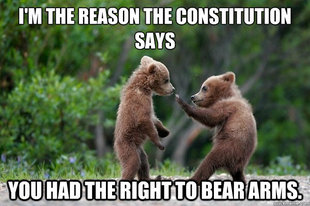 Karate Bear