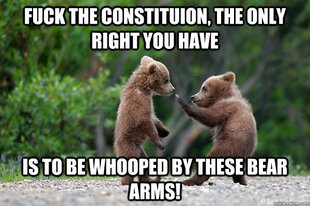 Karate Bear