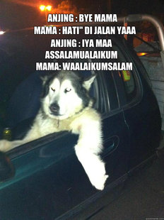 Mean Dog