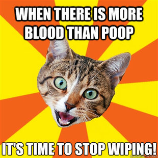 Bad Advice Cat