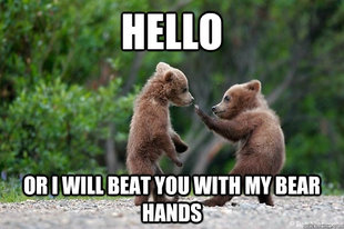 Karate Bear