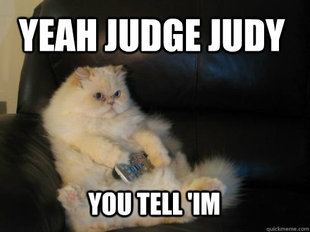 Disapproving TV Cat