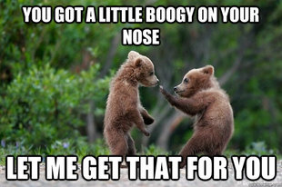 Karate Bear