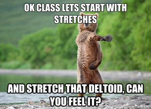 Karate Bear