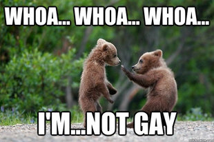 Karate Bear