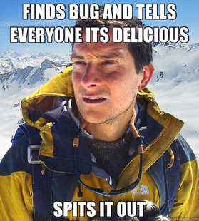 Bear Grylls