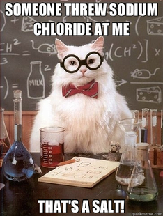Chemistry Cat