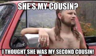 Almost Politically Correct Redneck