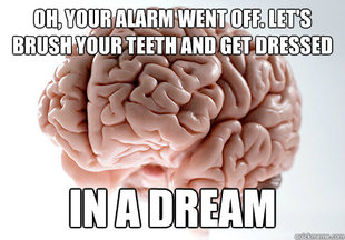 Scumbag Brain