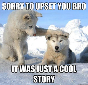 Caring Husky