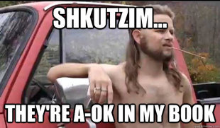 Almost Politically Correct Redneck