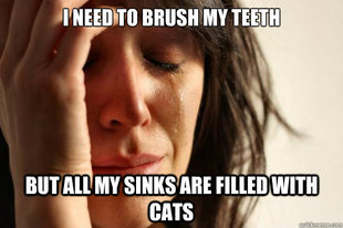 First World Problems