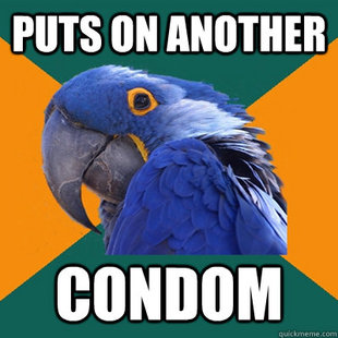 Paranoid Parrot