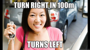 Female Asian Driver