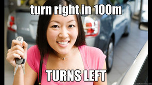 Female Asian Driver