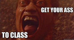 Arnold swag