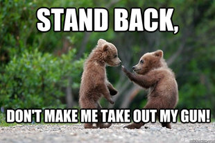 Karate Bear
