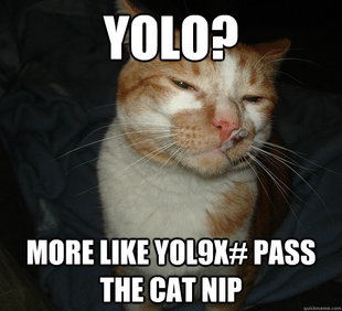 Cool Cat Craig