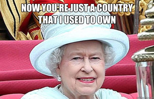 gotye queen
