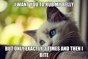 First World Cat Problems