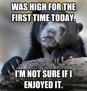 Confession Bear