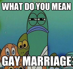 Serious fish SpongeBob