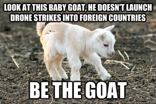 Innocent Goat