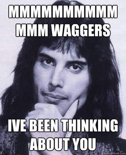 Good Guy Freddie Mercury