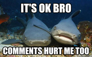 Compassionate Shark Friend