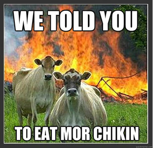 Evil cows