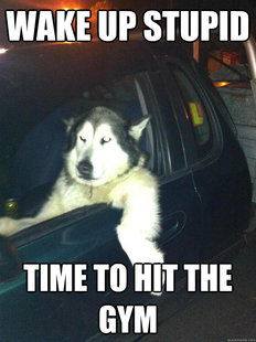 Mean Dog
