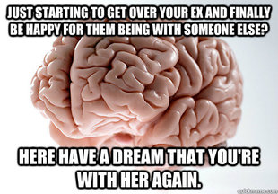Scumbag Brain