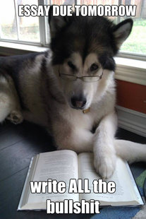 Condescending Literary Pun Dog