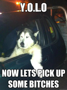 Mean Dog