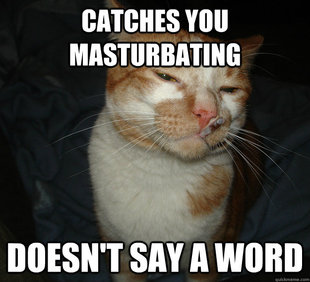 Cool Cat Craig