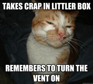 Cool Cat Craig