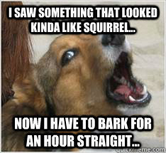 Dog Logic