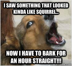 Dog Logic